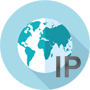 Определение IP домена